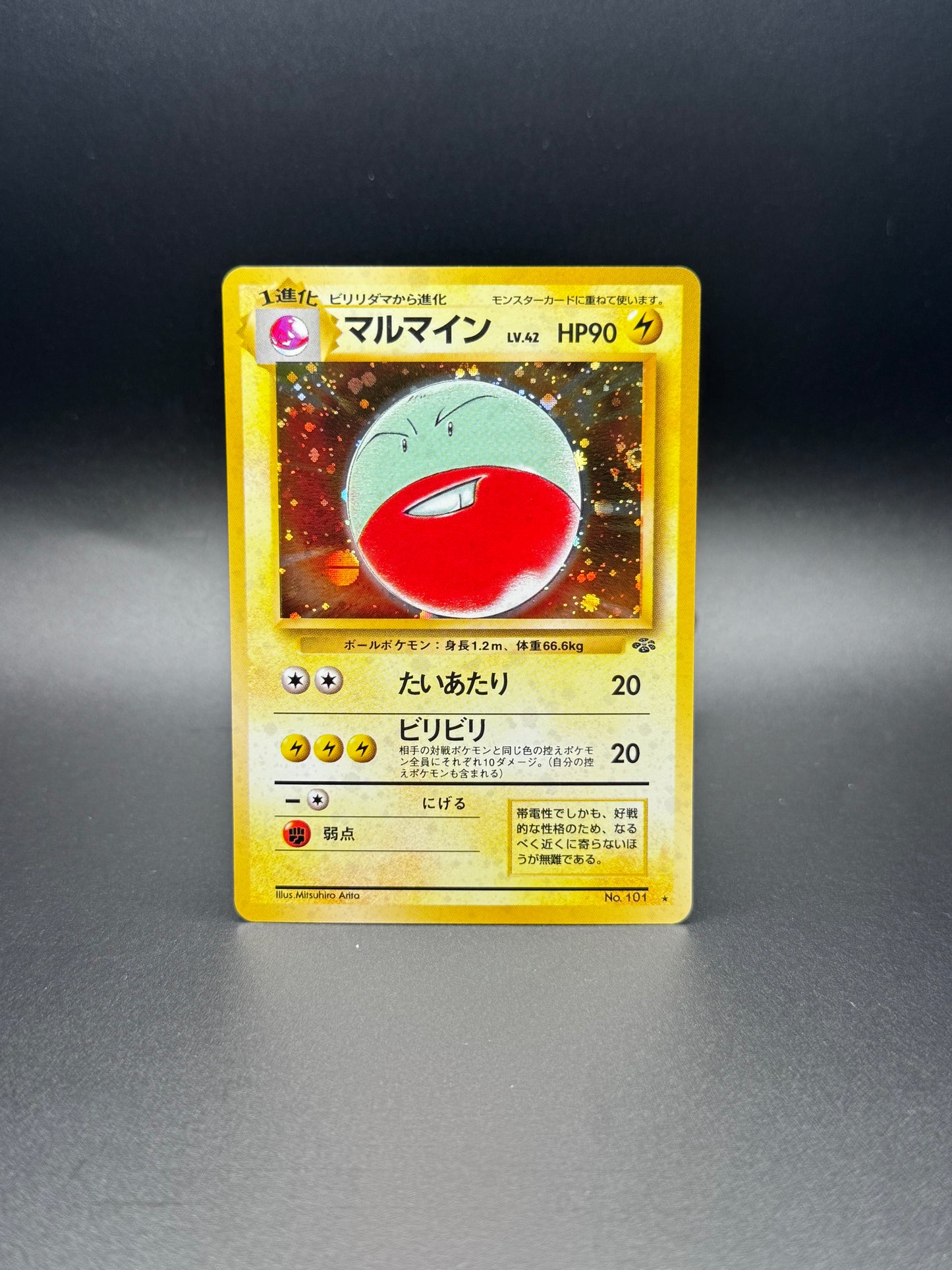 Electrode Japanese Jungle