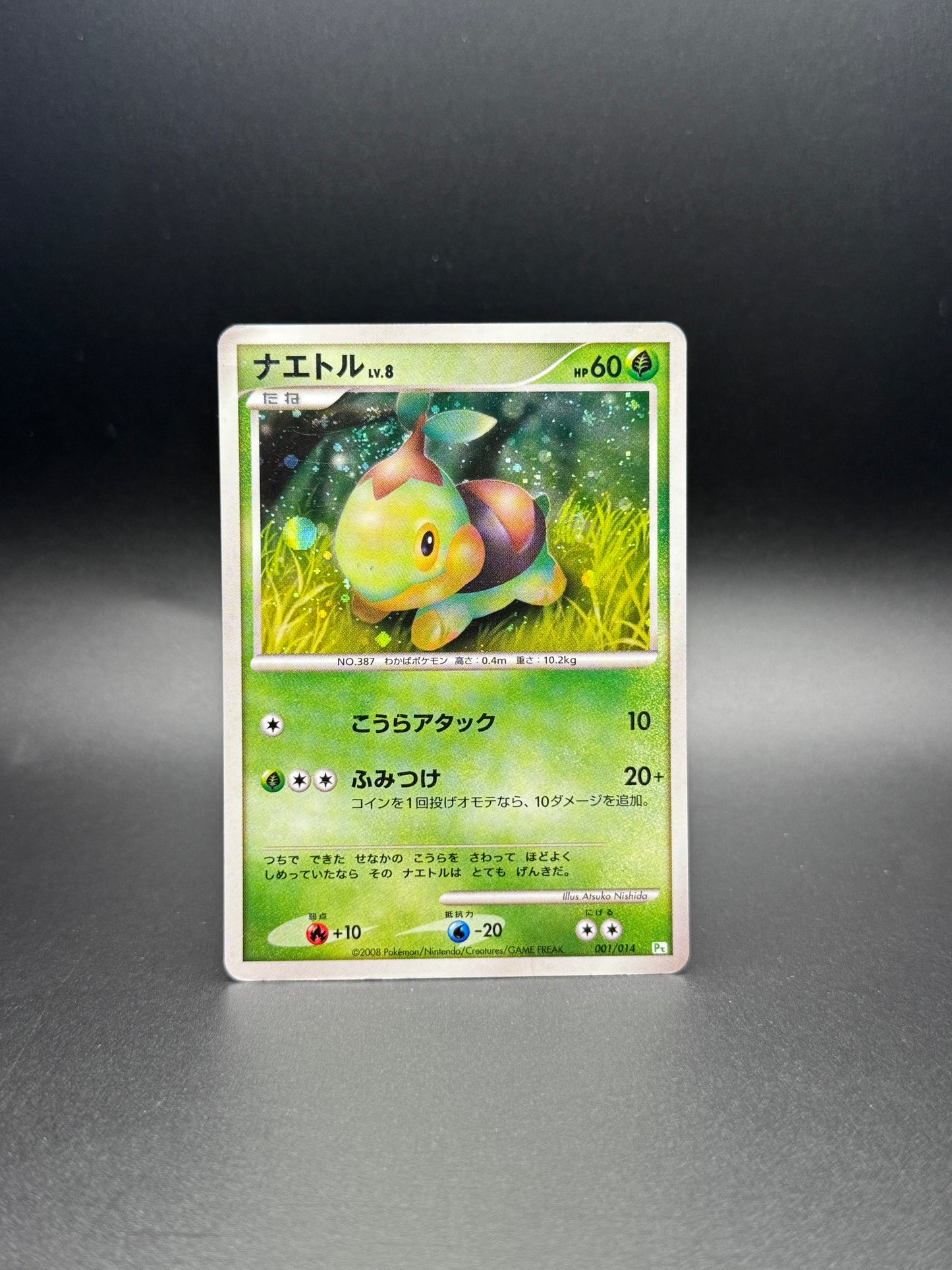 Turtwig PT Half Deck