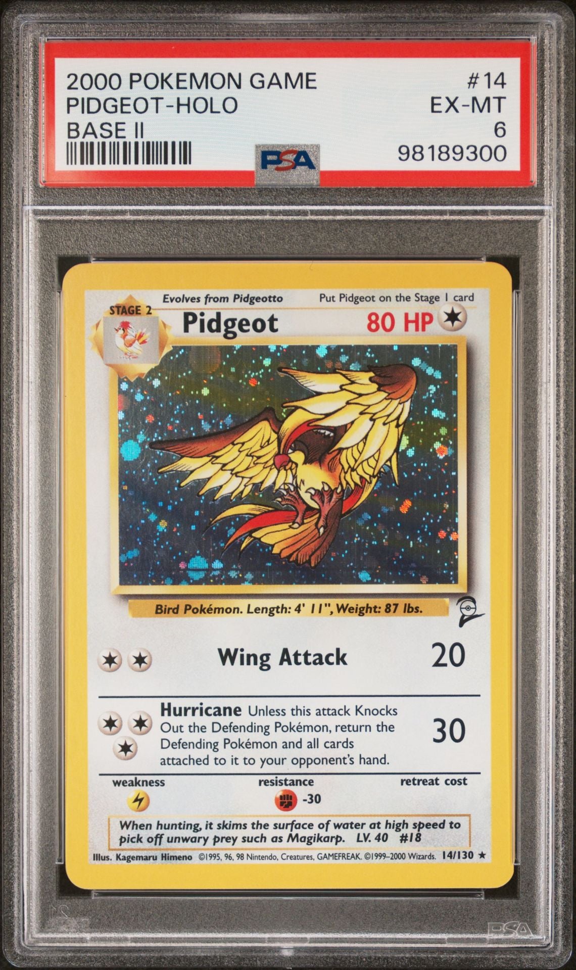 PSA 6 Pidgeot Base Set