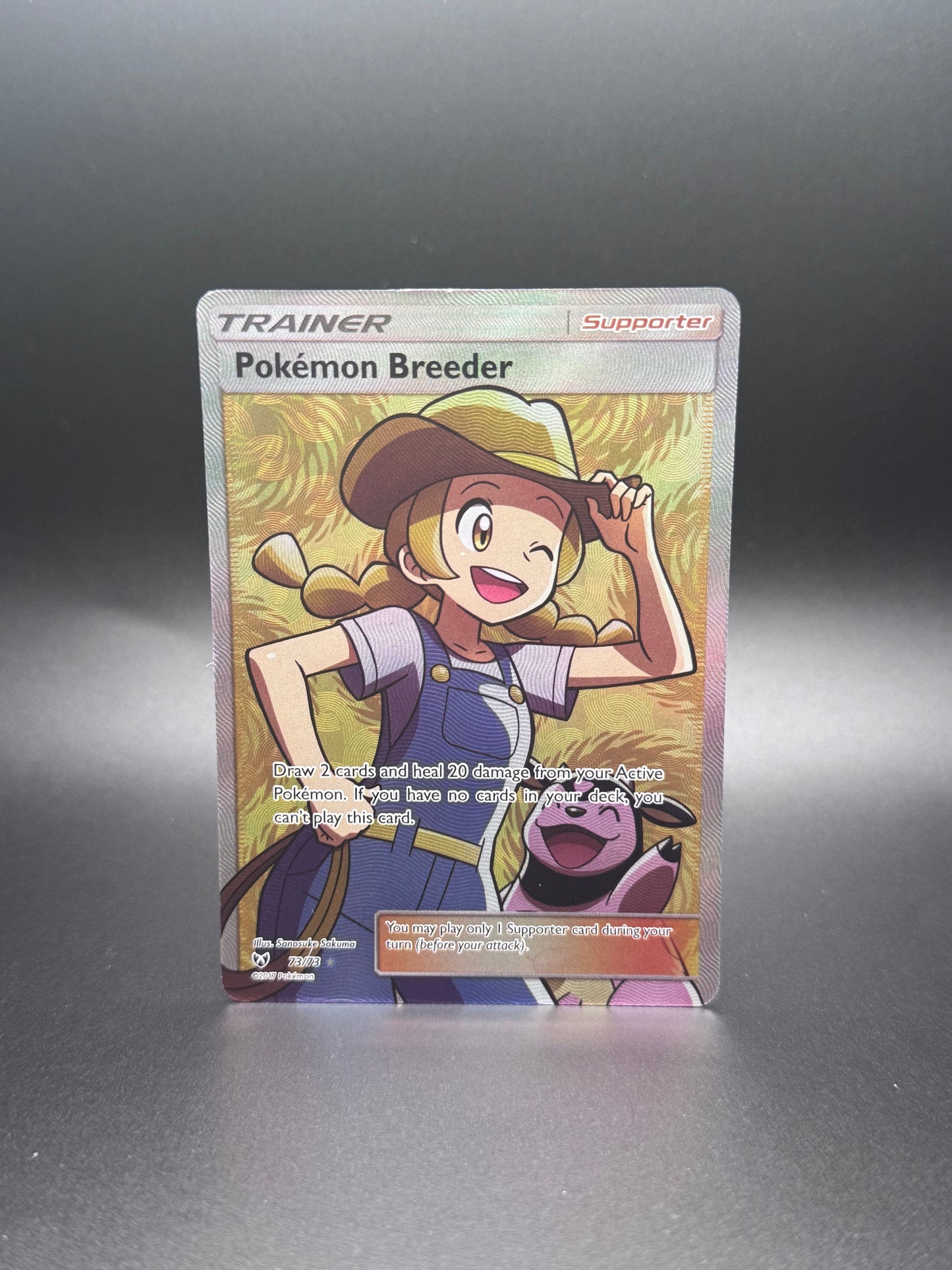 Pokémon Breeder Shining Legends